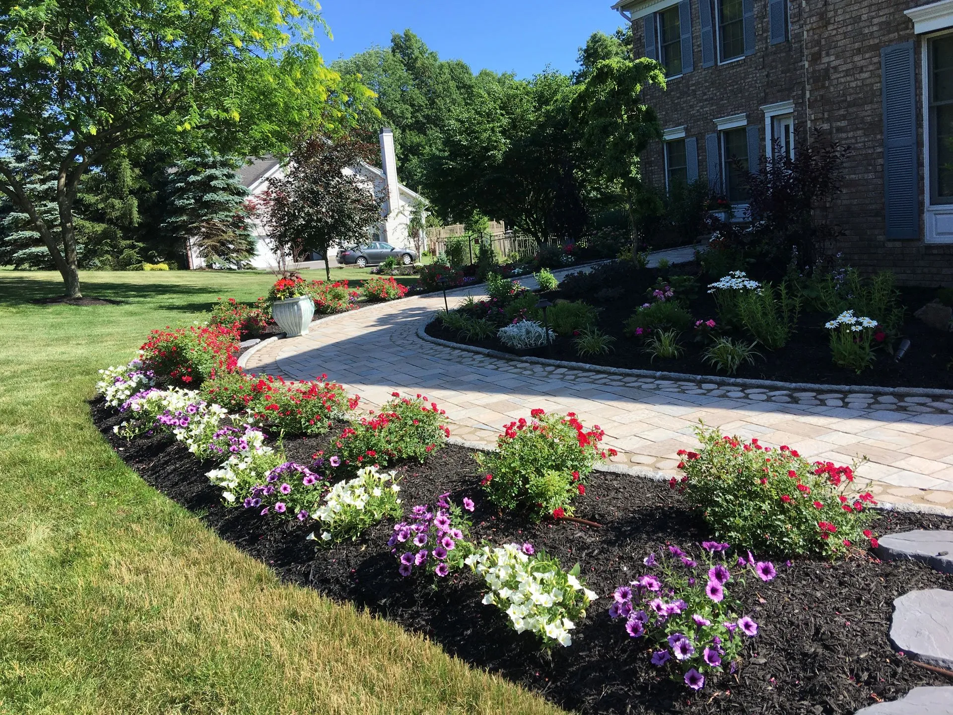 Landscape Cleanups project 2 in North Richland Hills