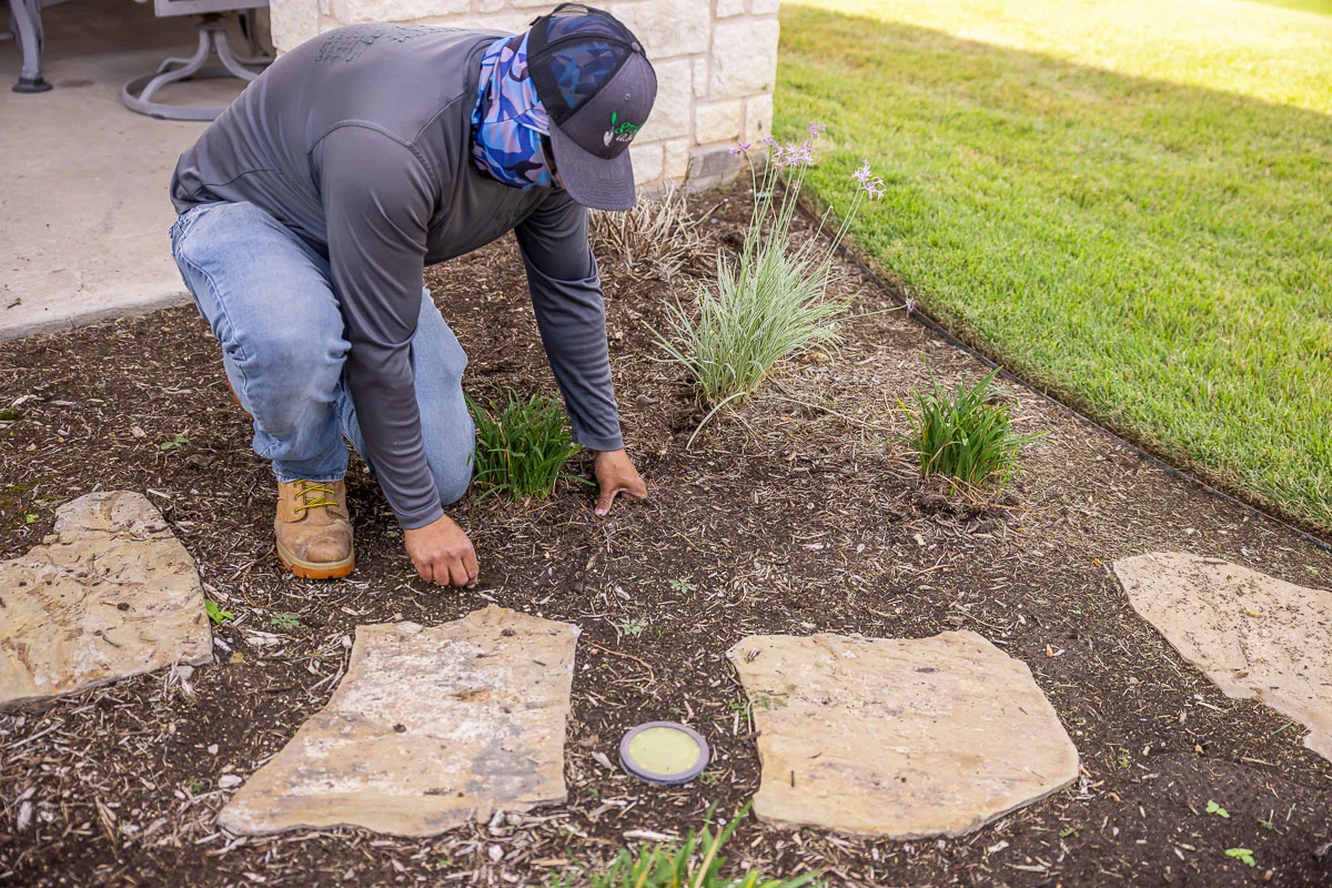 Landscape Cleanups project 3 in North Richland Hills