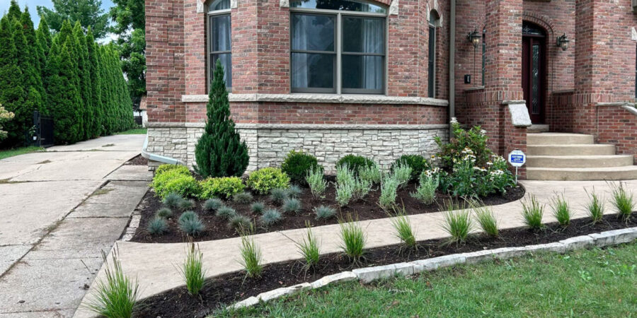 Landscape Cleanups project 5 in North Richland Hills