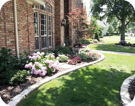 What to Expect from Professional Landscape Design