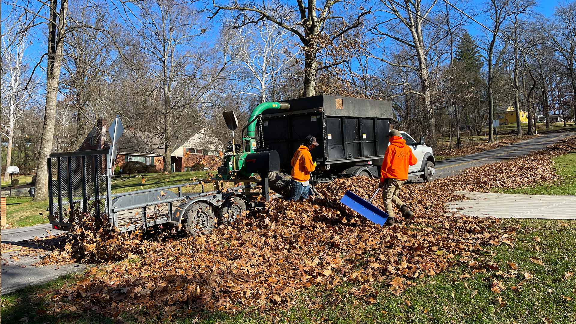 Why Fall Leaf Cleanup is Essential for Your Lawn