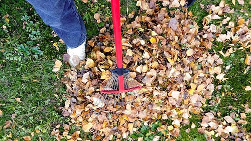 Leaf Cleanup project 3 in North Richland Hills