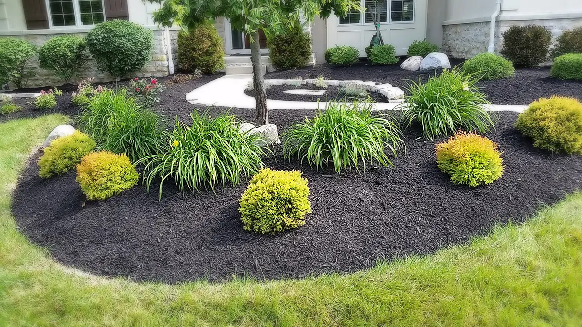 Mulch Installation project 2 in North Richland Hills