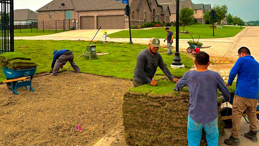 Sod Installation project 2 in North Richland Hills
