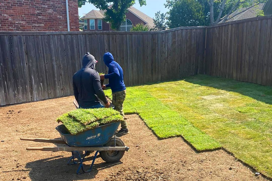 Sod Installation project 3 in North Richland Hills